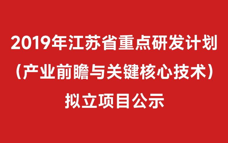 Our company undertakes the provincial industry foresight and key core plans-competitive projects are publicized by the project approval documents